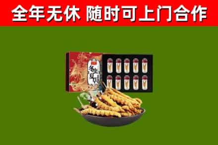 合肥烟酒回收冬虫夏草礼盒.jpg